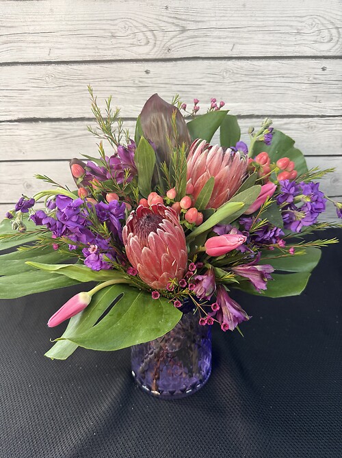 Protea Paradise