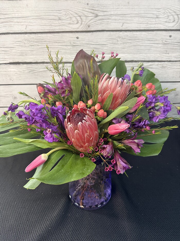 Protea Paradise