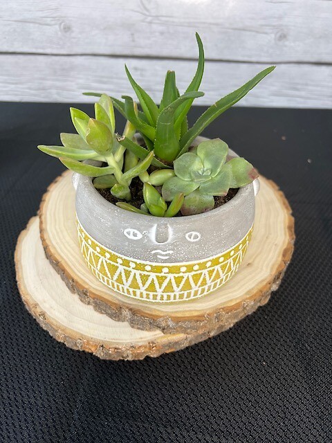 Succulents in face pot