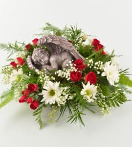 Loved Angel