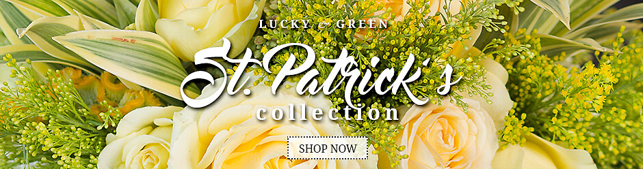 St. Patrick's Day Banner