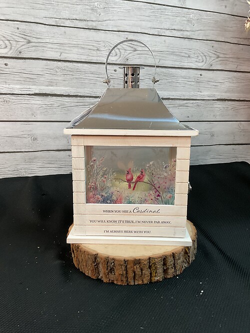 When you see a Cardinal